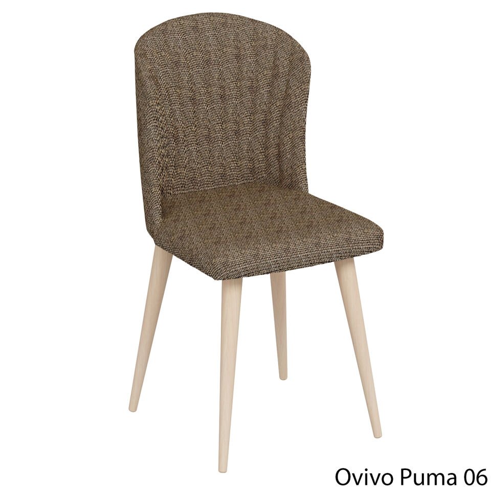 OvivoPuma06