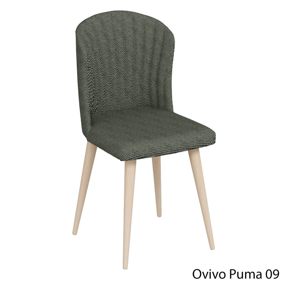 OvivoPuma09