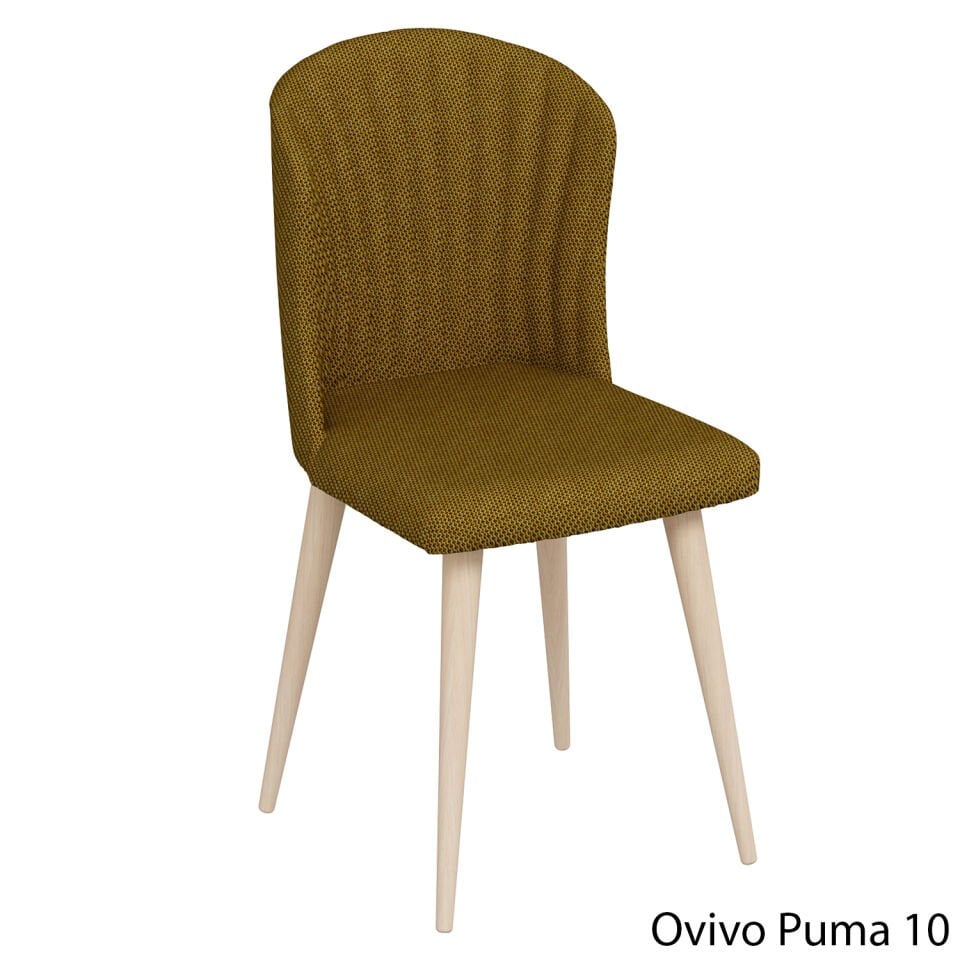 OvivoPuma10