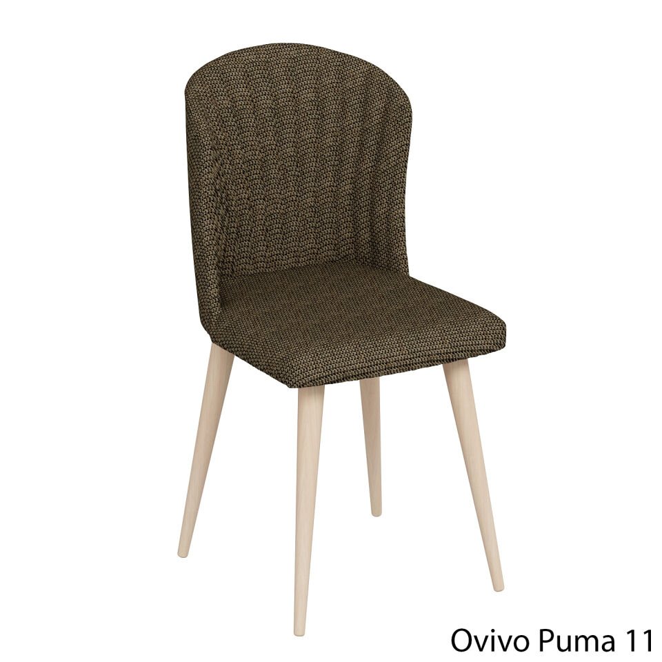 OvivoPuma11