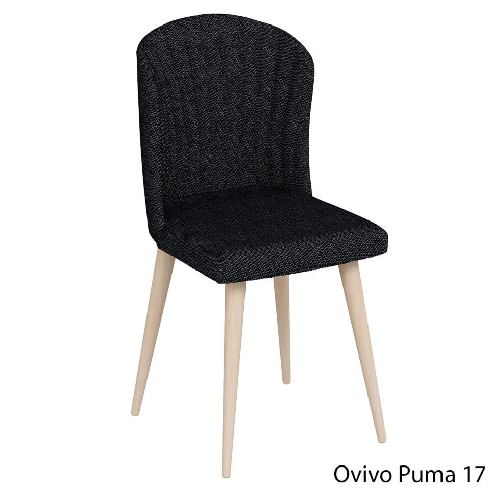 OvivoPuma17