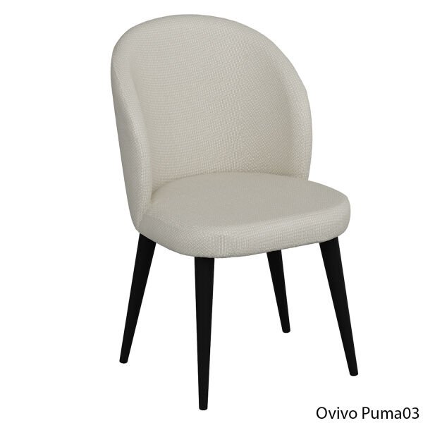 OvivoPuma03