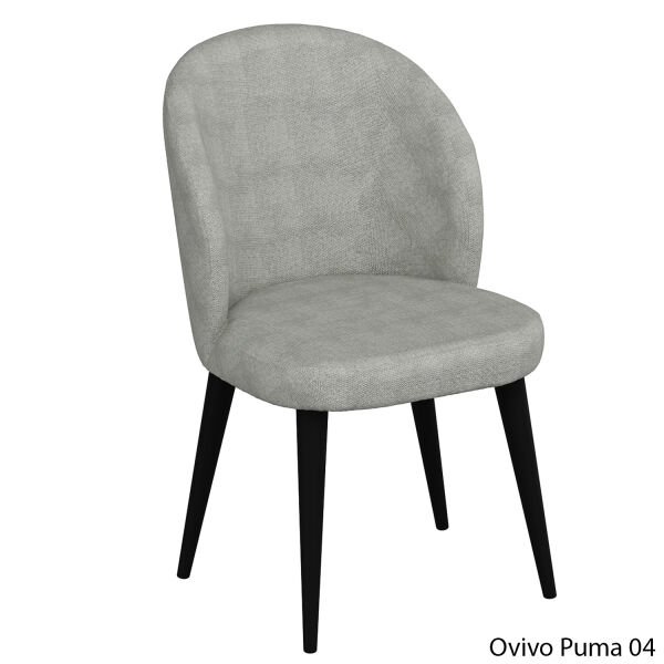 OvivoPuma04