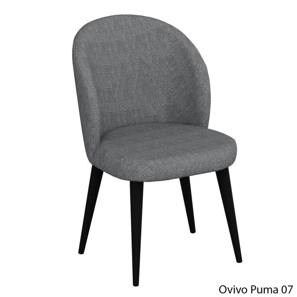 OvivoPuma07
