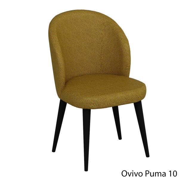 OvivoPuma10