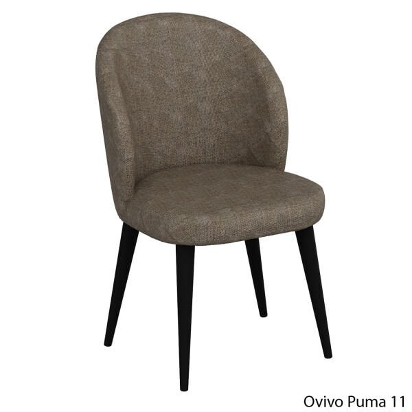 OvivoPuma11