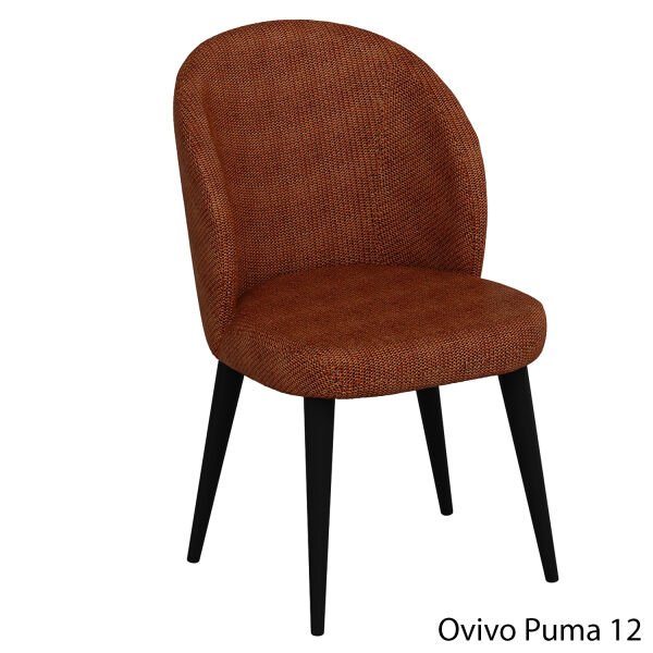 OvivoPuma12