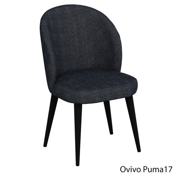 OvivoPuma17