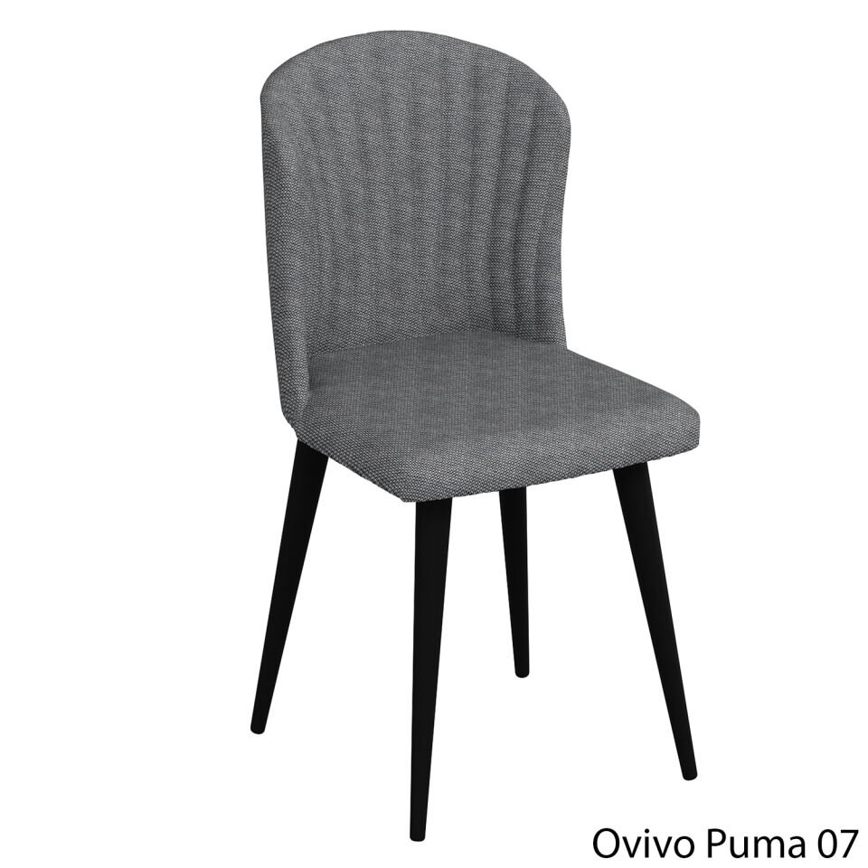 OvivoPuma07