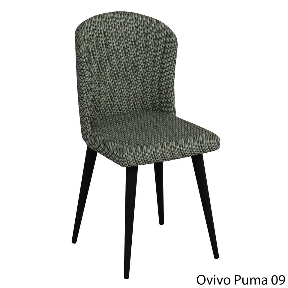 OvivoPuma09