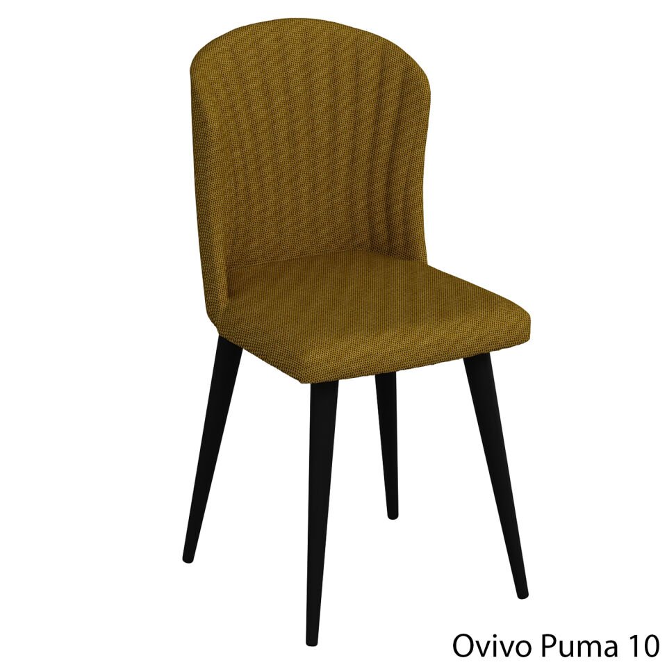 OvivoPuma10