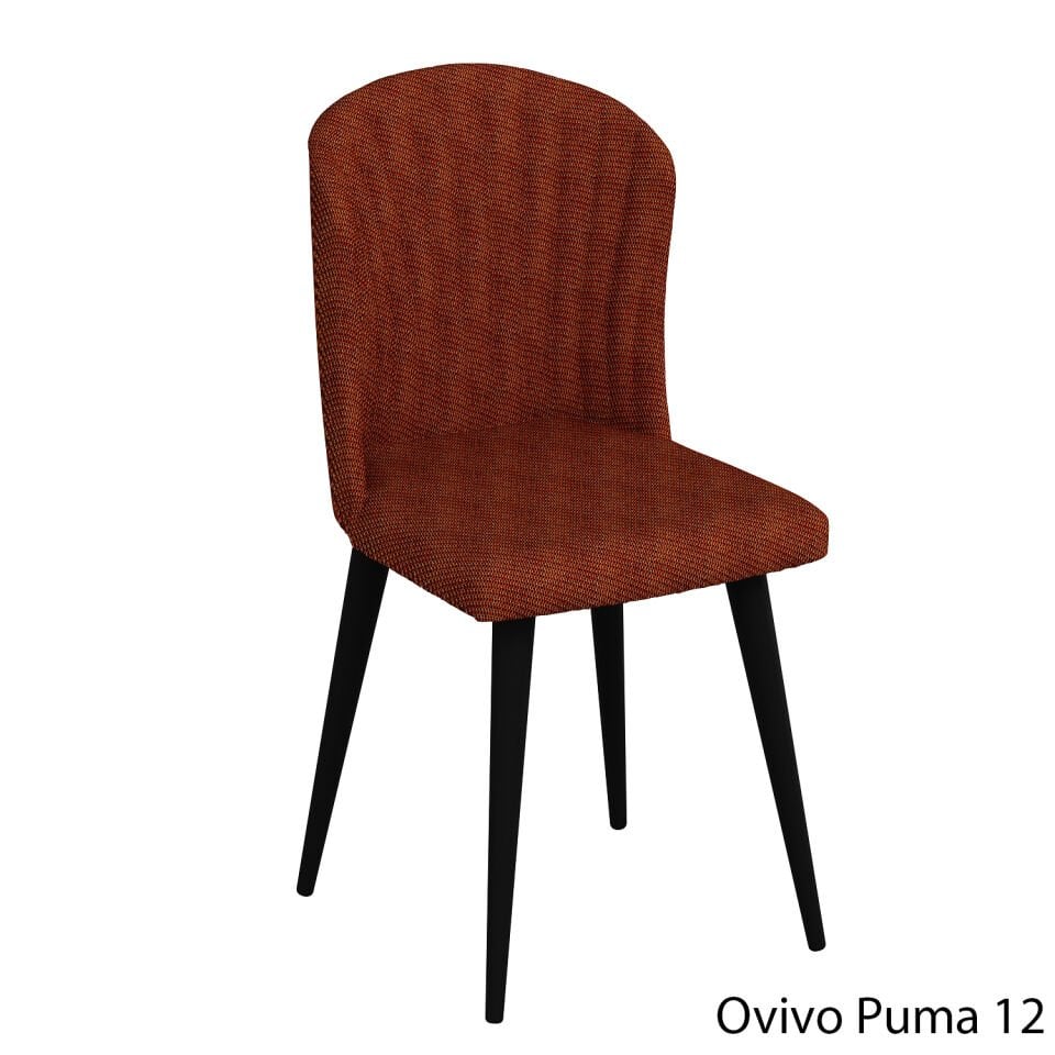 OvivoPuma12
