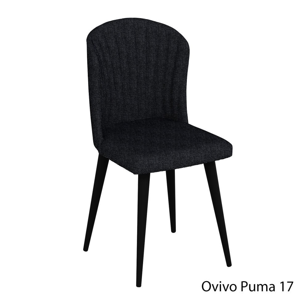 OvivoPuma17