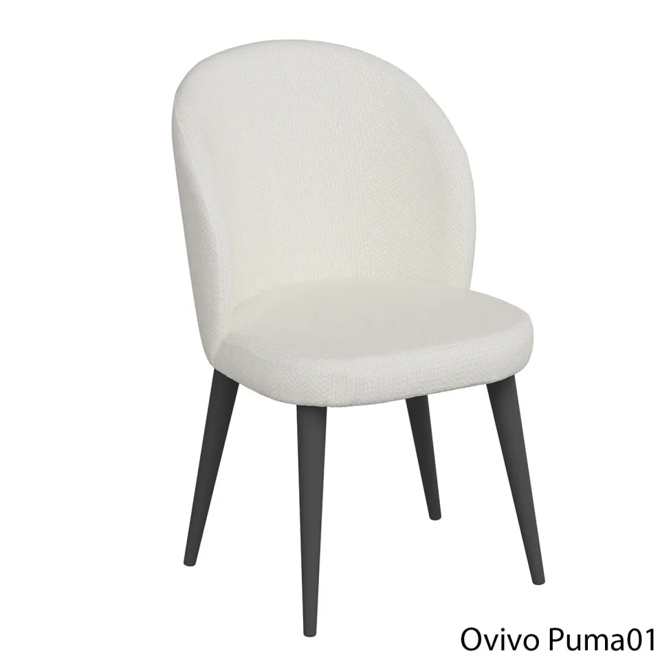 OvivoPuma01