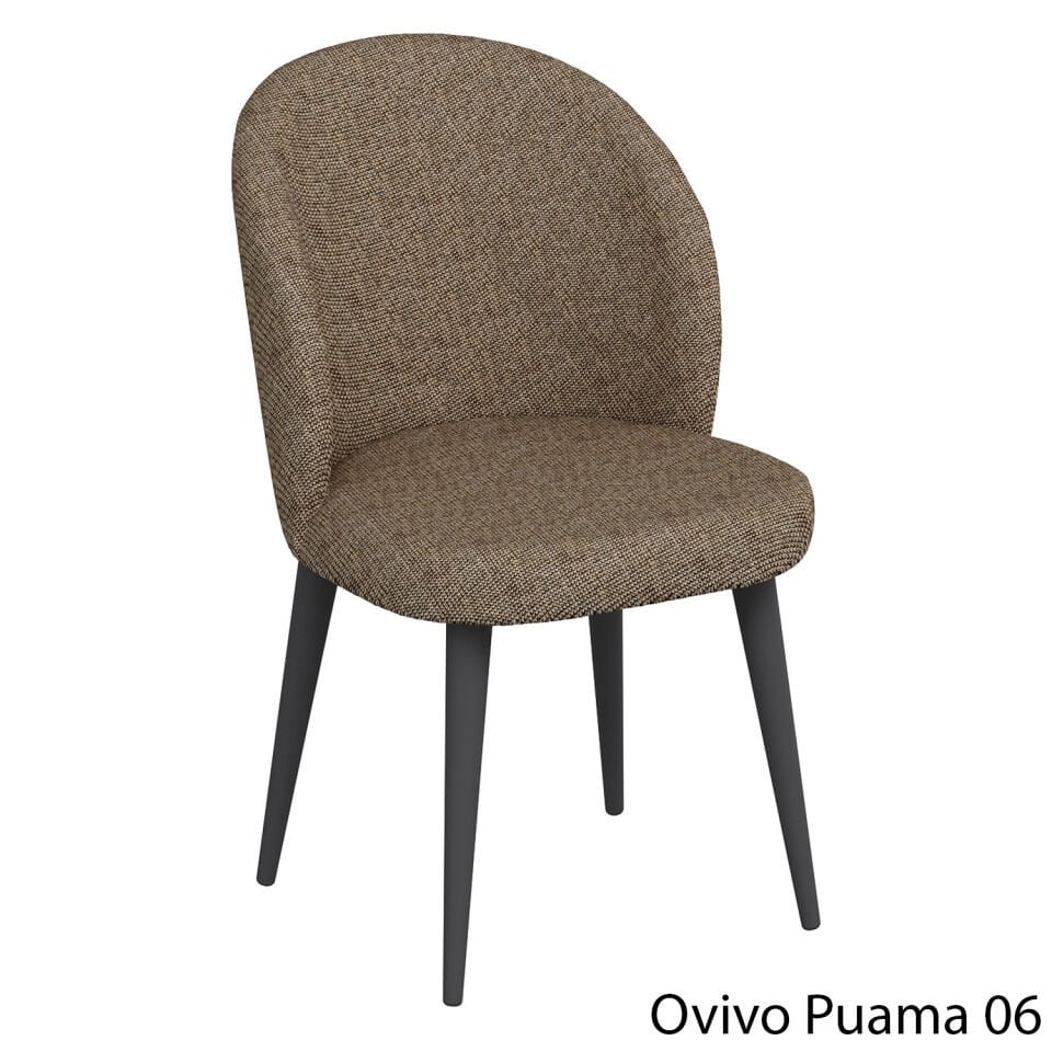 OvivoPuma06