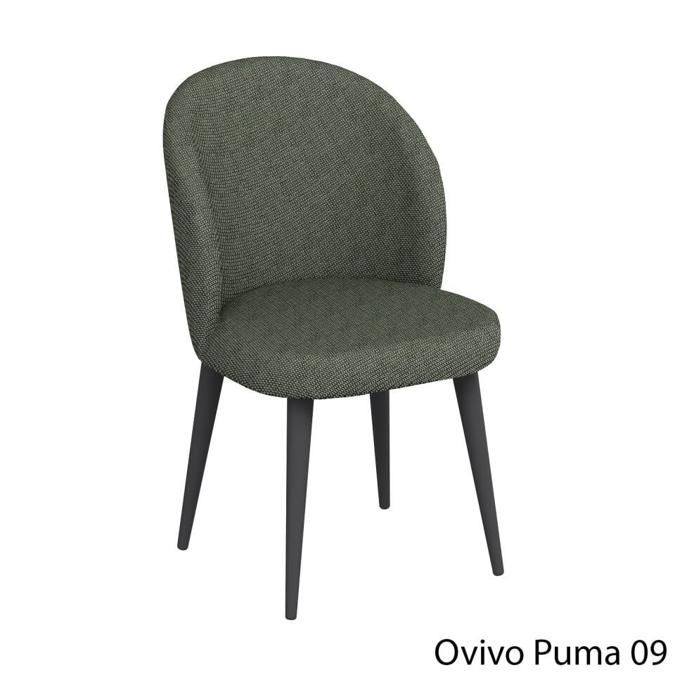 OvivoPuma09