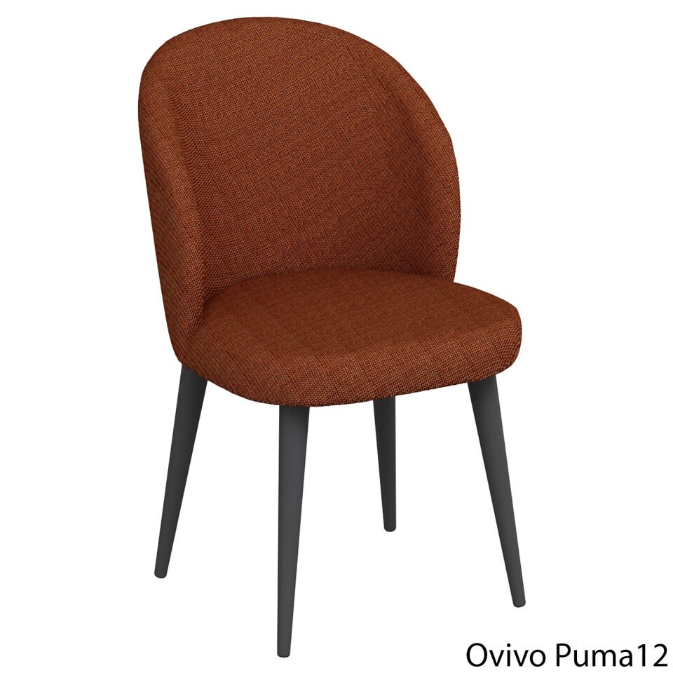 OvivoPuma12