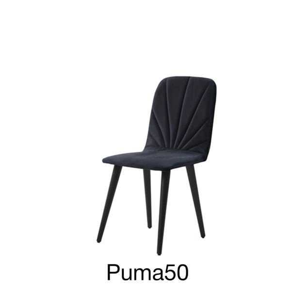 Puma50