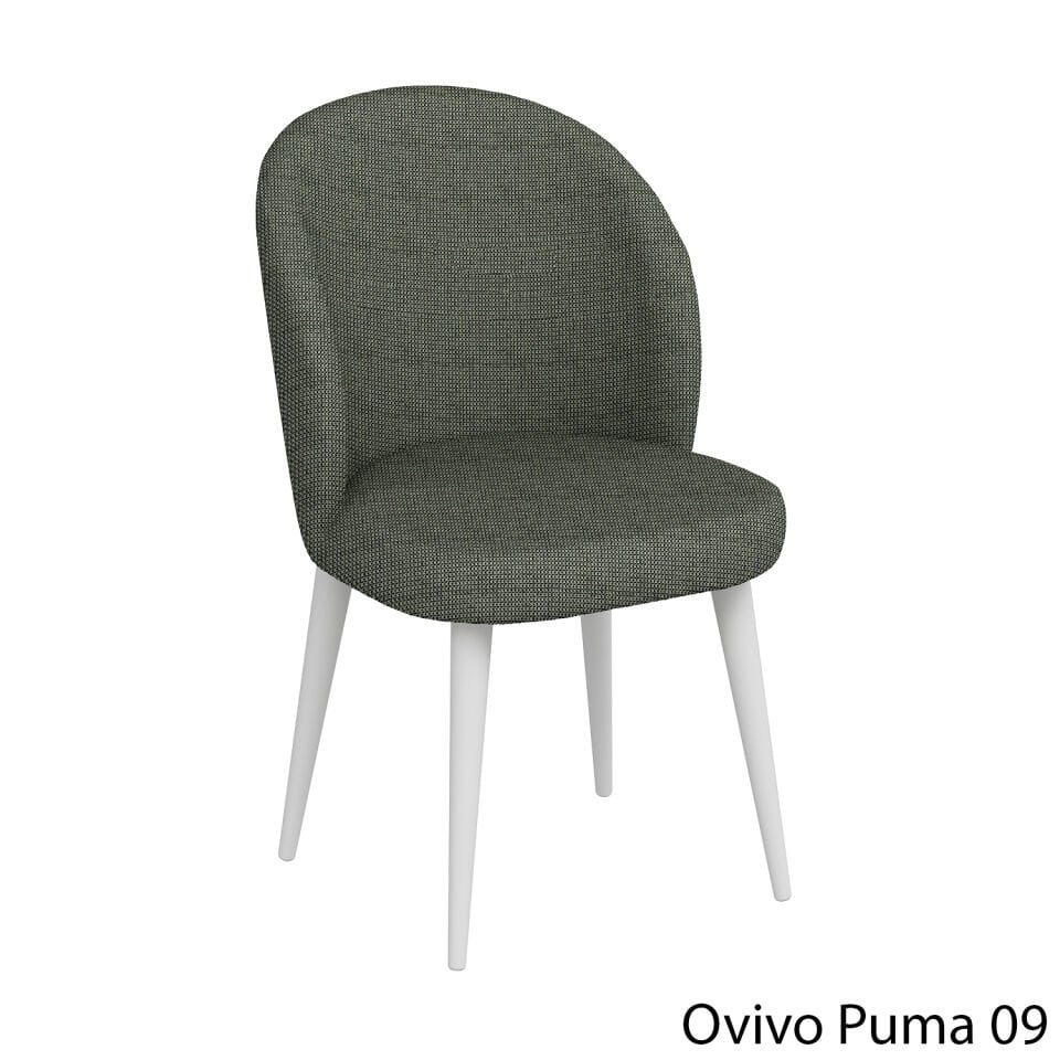 OvivoPuma09