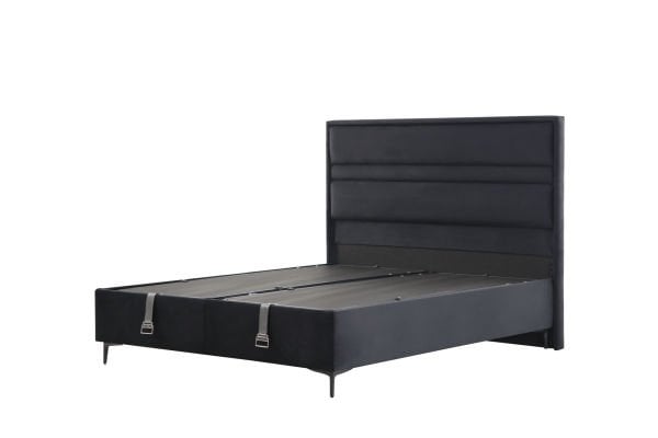 Star Baza Başlık  Siyah Ayak Anka17