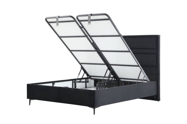 Star Baza Başlık  Siyah Ayak Anka17