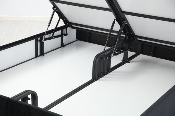 Star Baza Başlık  Siyah Ayak Anka17