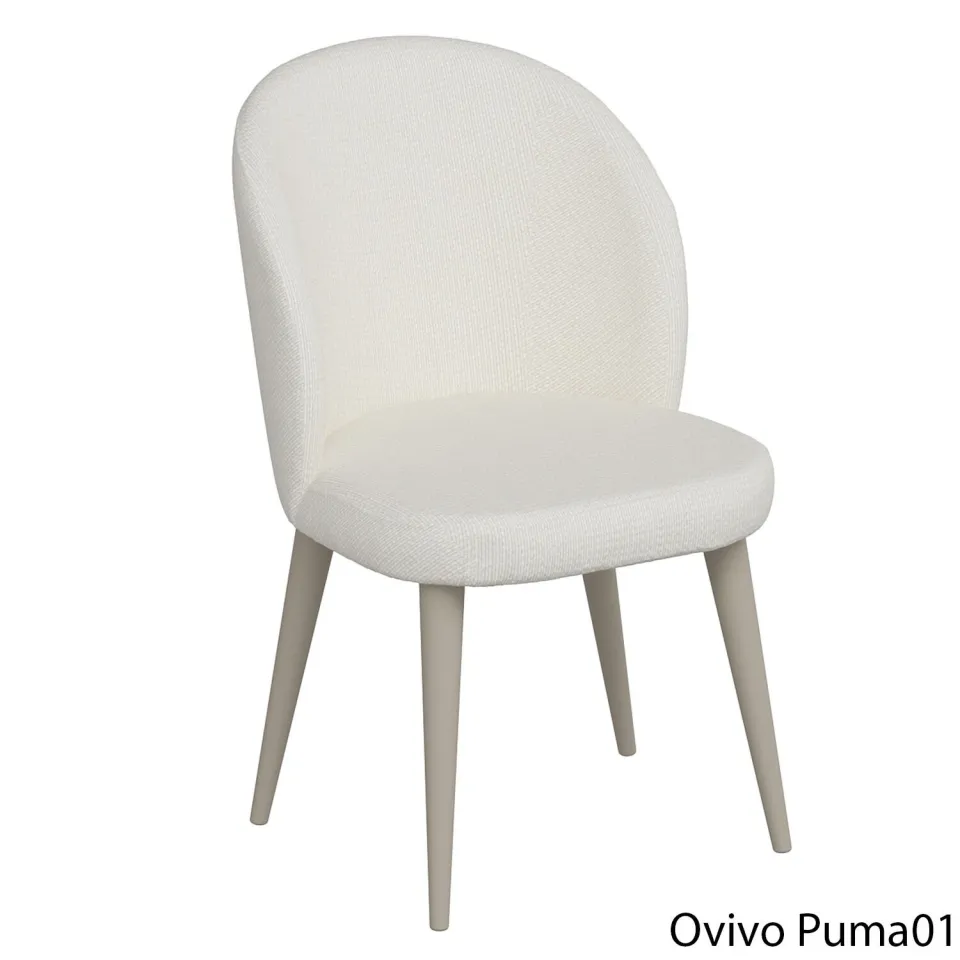 OvivoPuma01