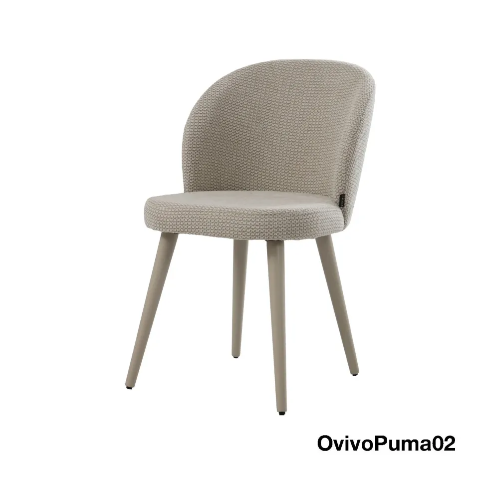 OvivoPuma02