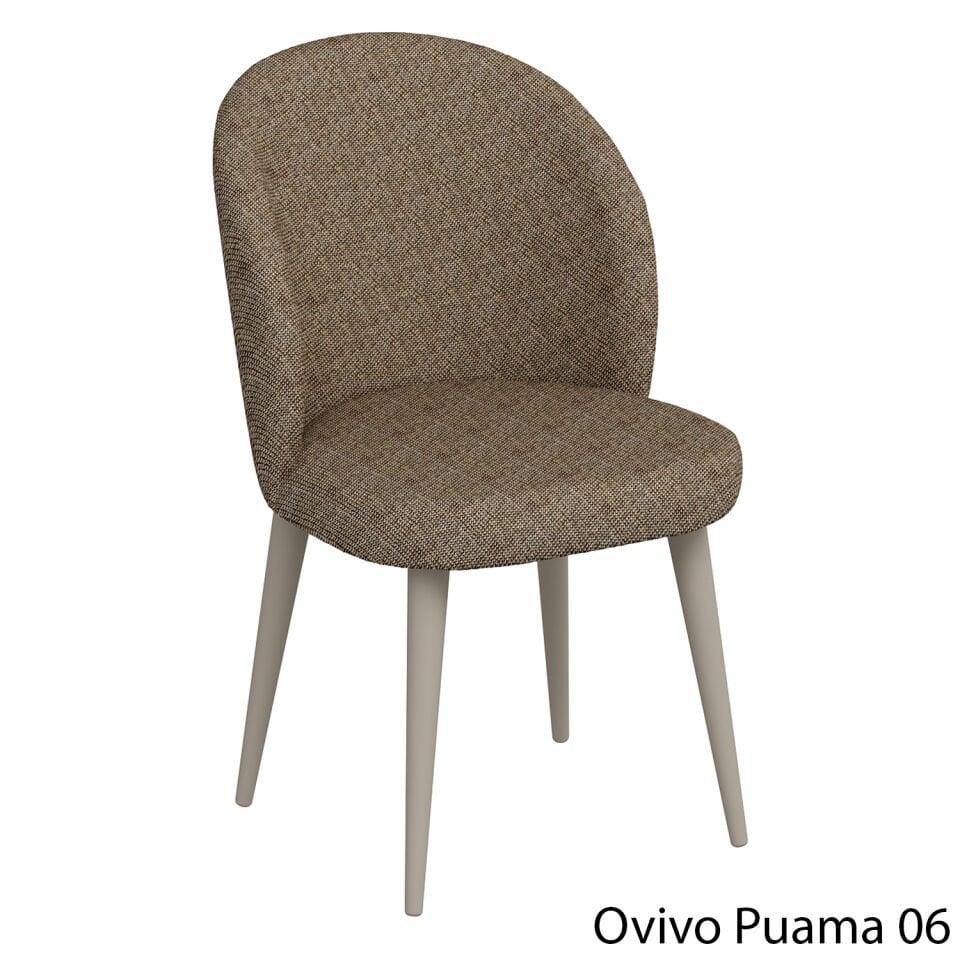 OvivoPuma06
