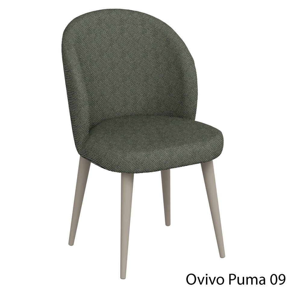 OvivoPuma09