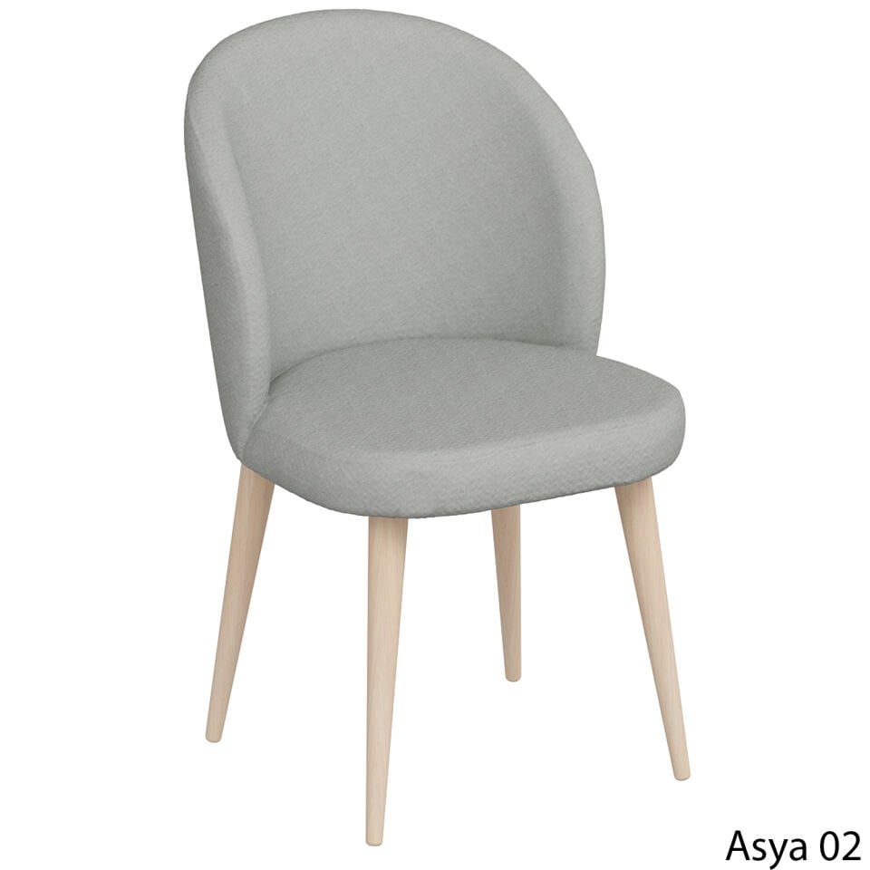 Asya02