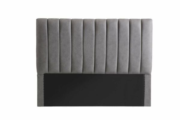 Leonora Baza Başlığı