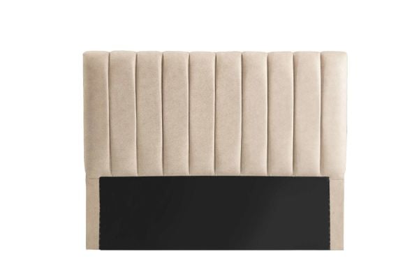 Lisa Baza Başlığı