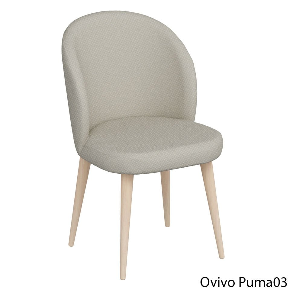 OvivoPuma03