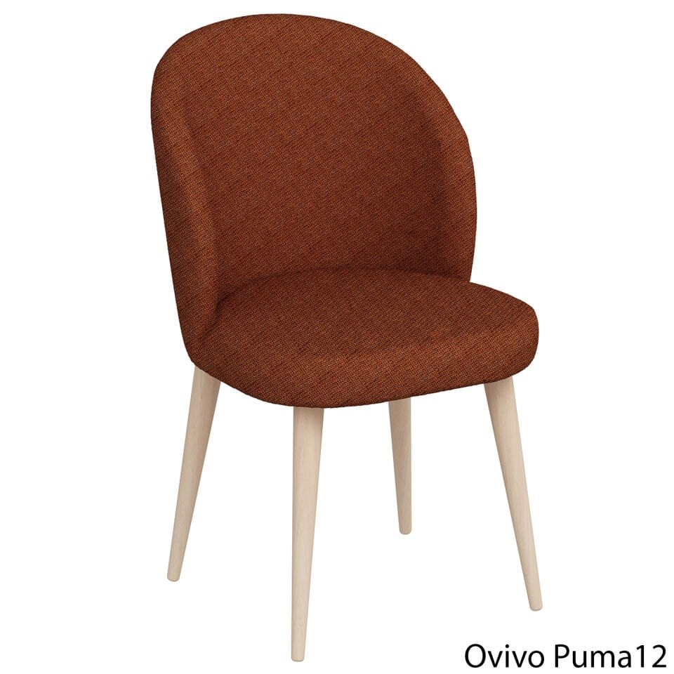 OvivoPuma12