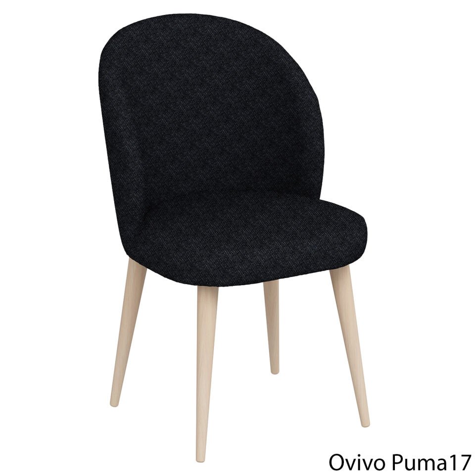OvivoPuma17