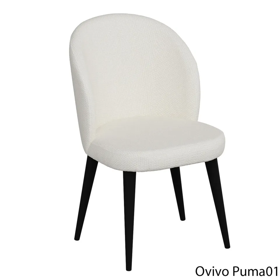 OvivoPuma01